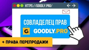 Совладелец прав GOODLY + Права перепродажи